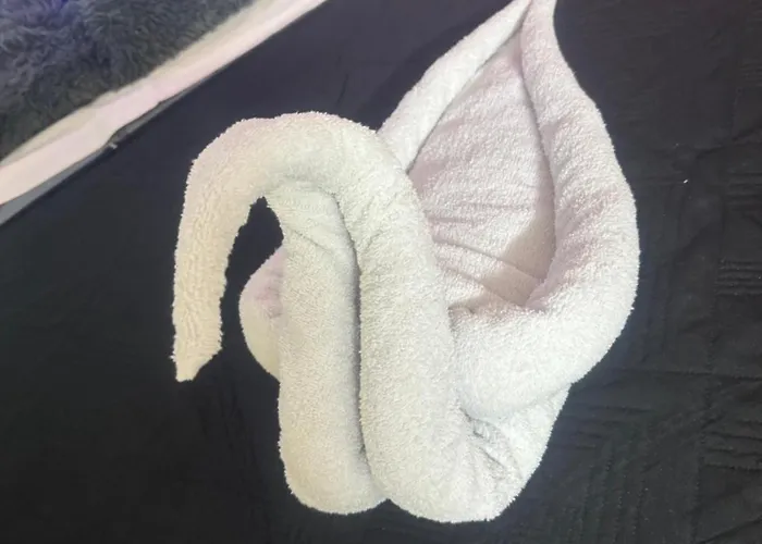 Da Anya Отель типа 